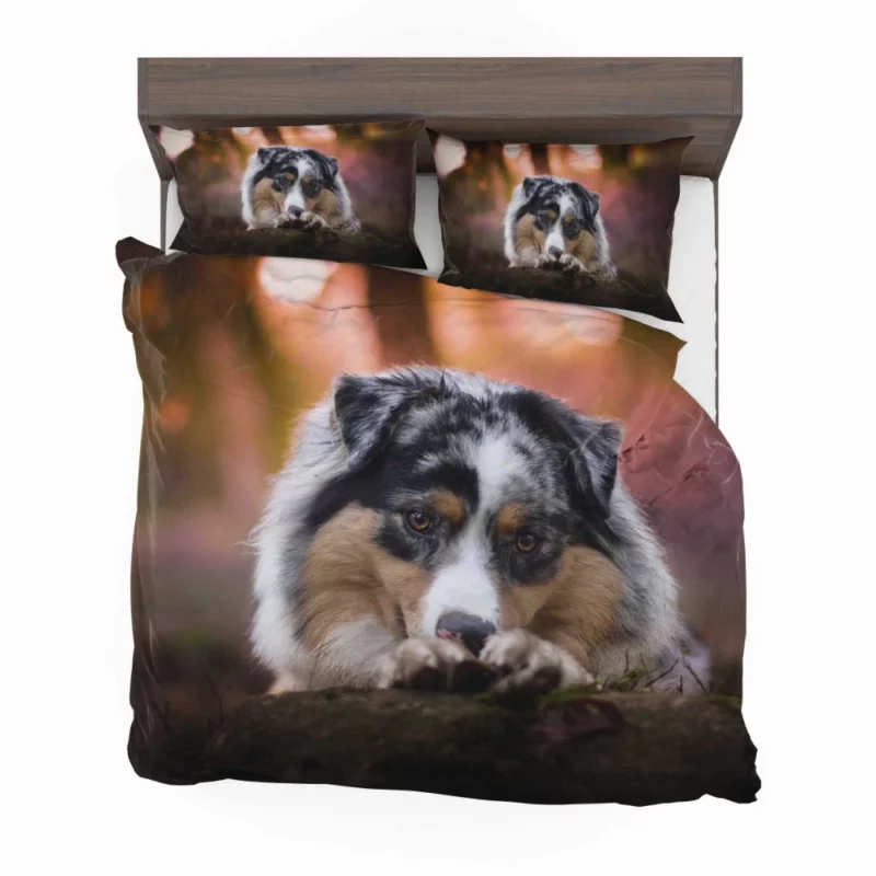 Australian Shepherd Spotted Adventure Bedding Set 1