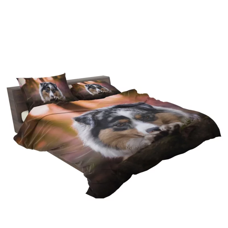 Australian Shepherd Spotted Adventure Bedding Set 2