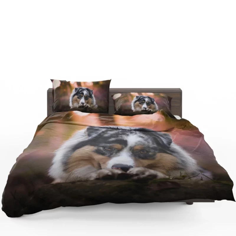 Australian Shepherd Spotted Adventure Bedding Set