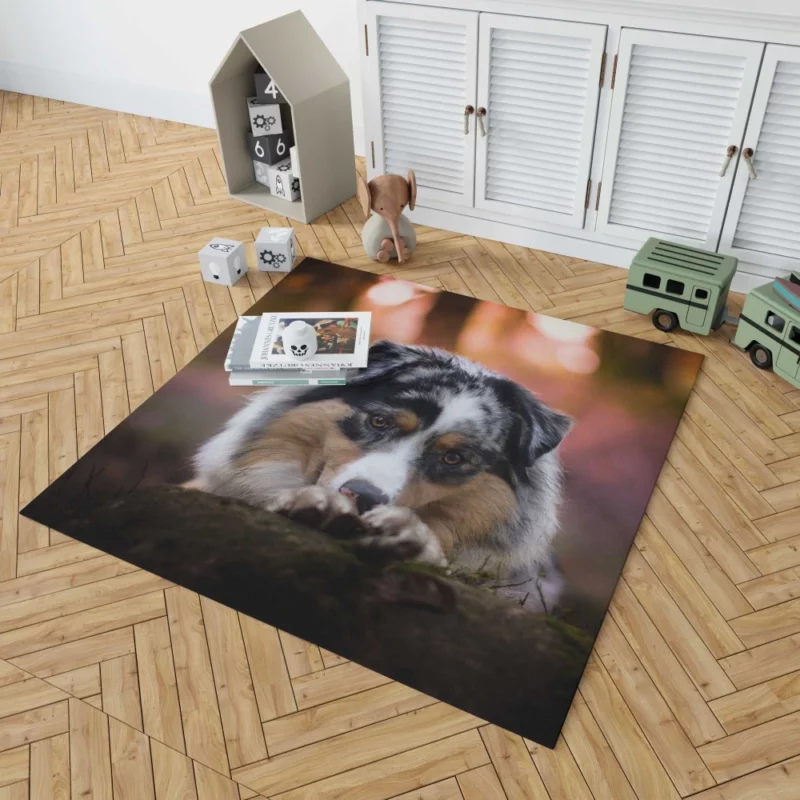 Australian Shepherd Spotted Adventure Rug 1