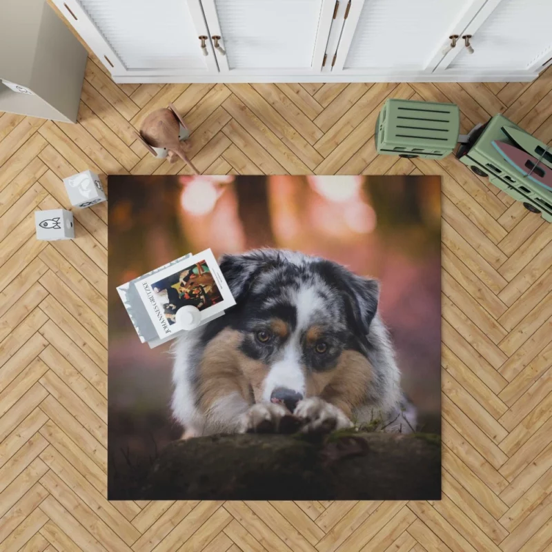 Australian Shepherd Spotted Adventure Rug