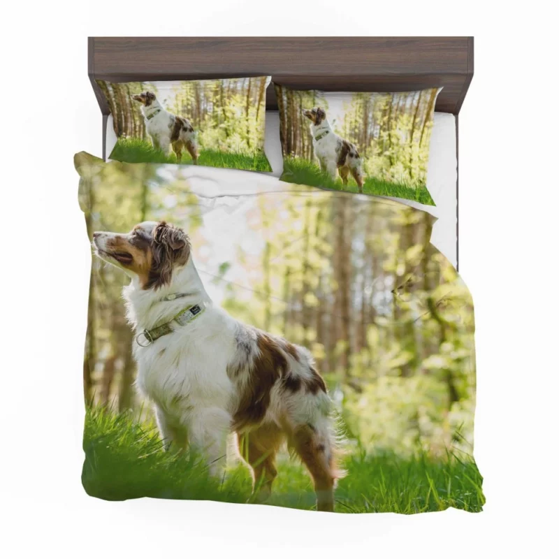 Australian Shepherd Sunny Playtime Bedding Set 1