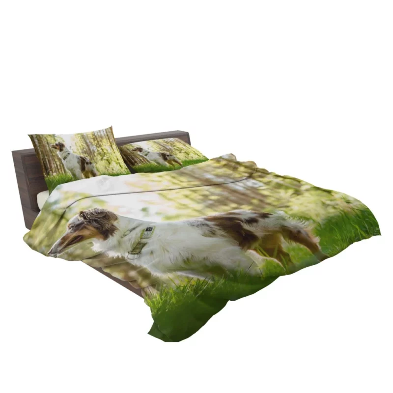 Australian Shepherd Sunny Playtime Bedding Set 2