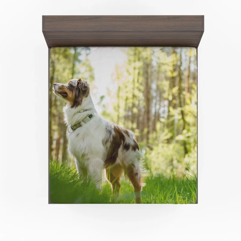 Australian Shepherd Sunny Playtime Fitted Sheet 1