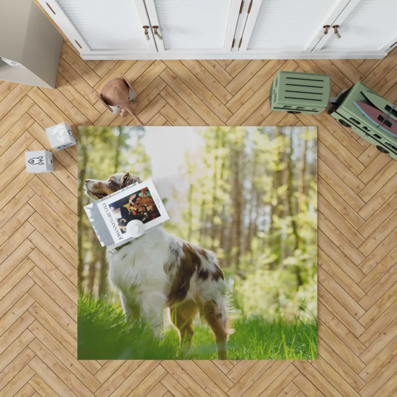 Australian Shepherd Sunny Playtime Rug