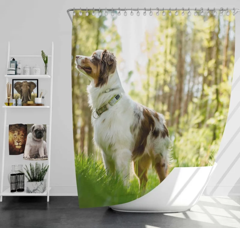 Australian Shepherd Sunny Playtime Shower Curtain