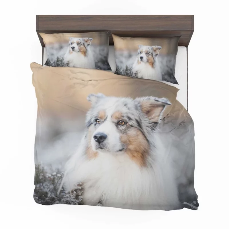 Australian Shepherd Vigilance Bedding Set 1