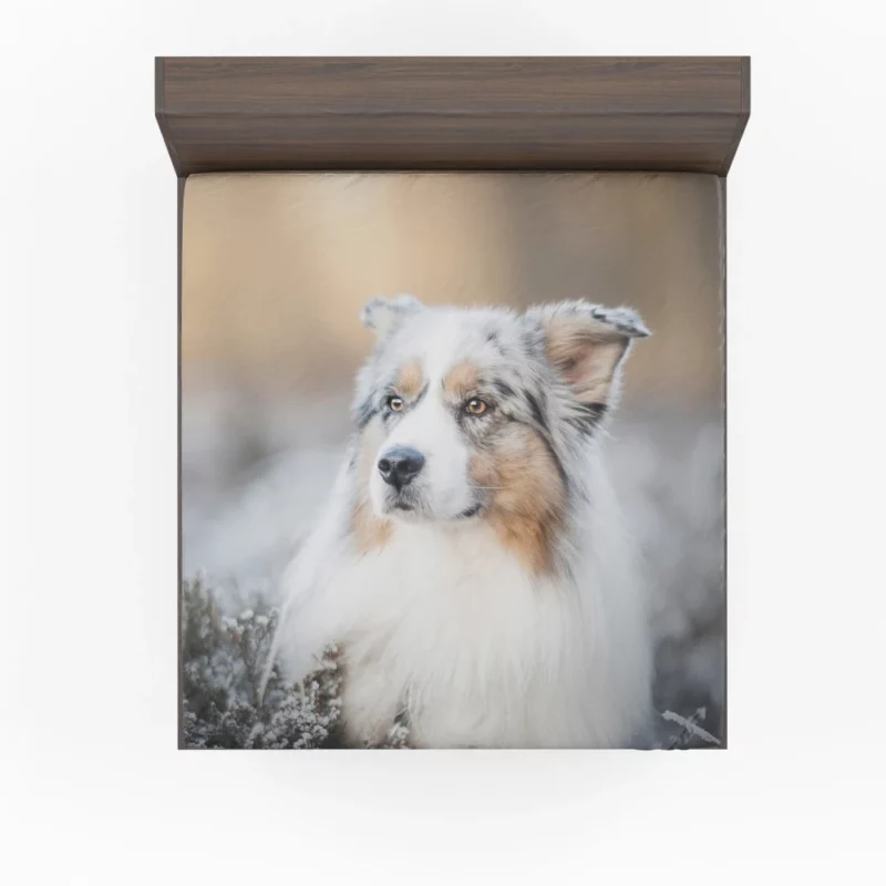 Australian Shepherd Vigilance Fitted Sheet 1