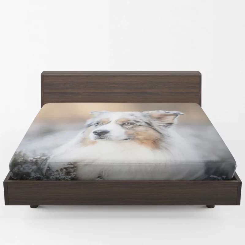 Australian Shepherd Vigilance Fitted Sheet