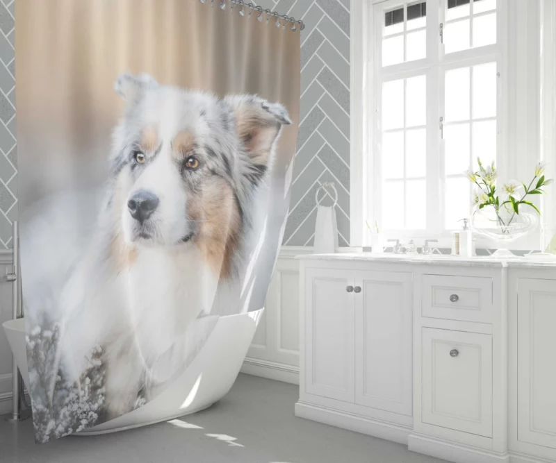 Australian Shepherd Vigilance Shower Curtain 1