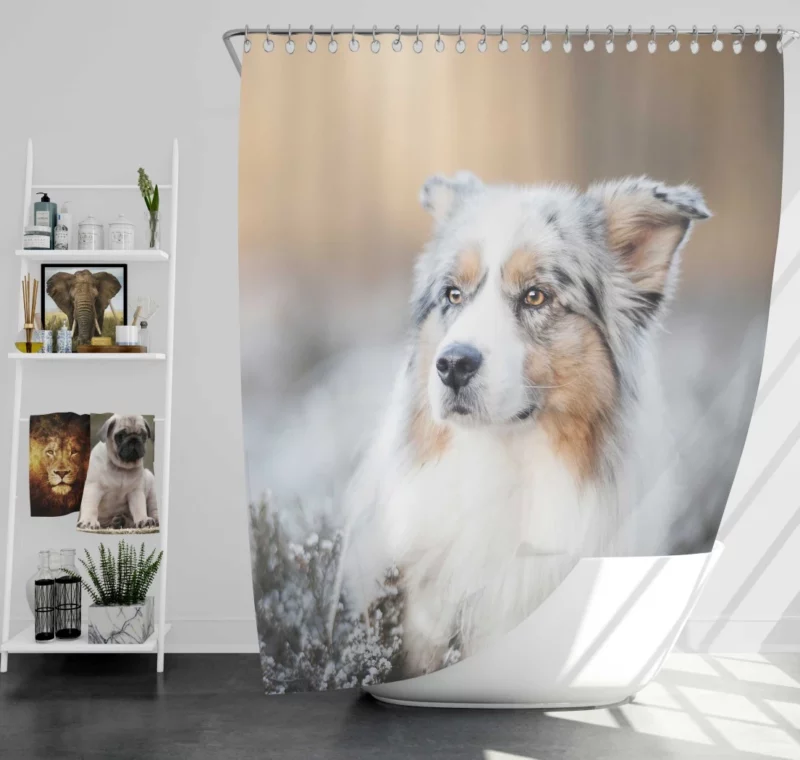 Australian Shepherd Vigilance Shower Curtain