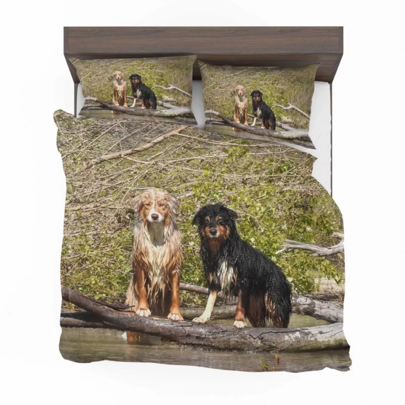 Australian Shepherd Water Stare Bedding Set 1