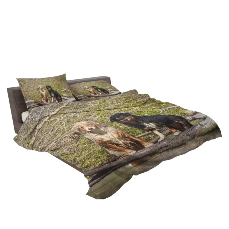 Australian Shepherd Water Stare Bedding Set 2