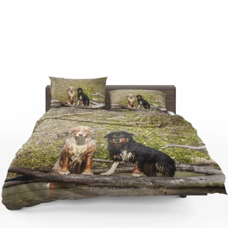 Australian Shepherd Water Stare Bedding Set