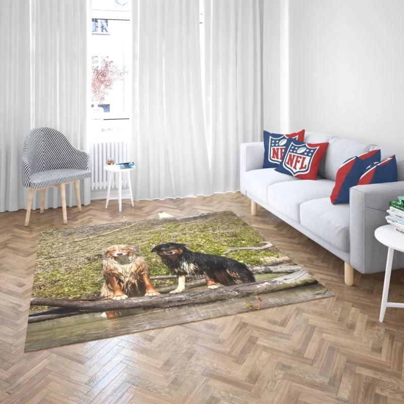 Australian Shepherd Water Stare Rug 2