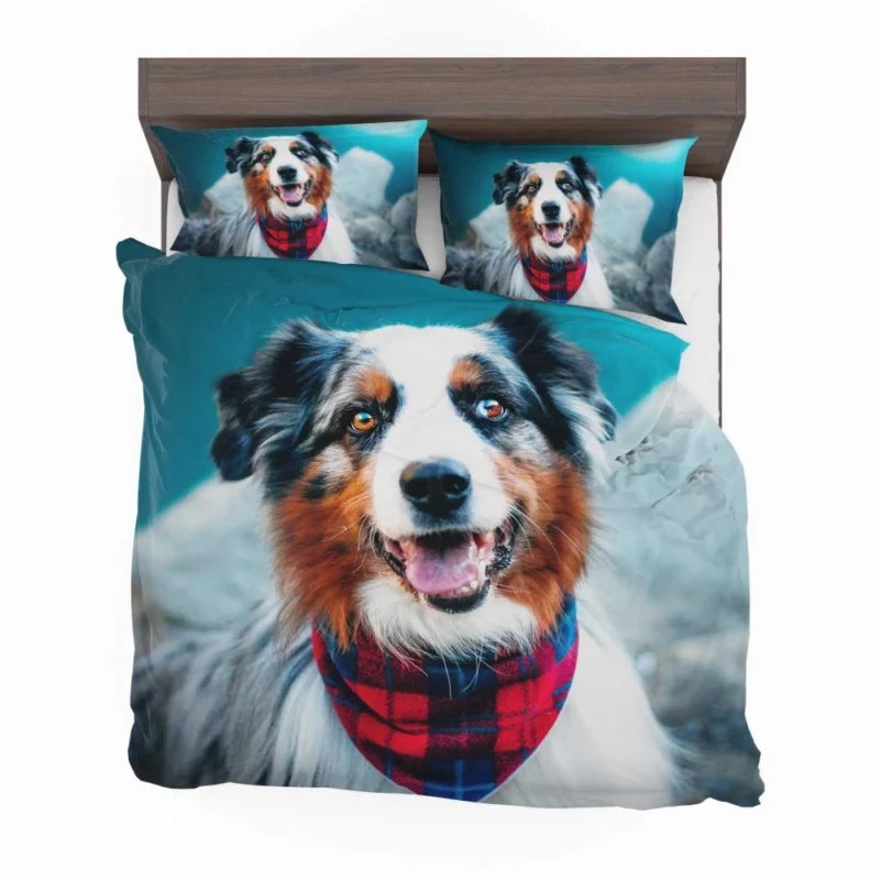 Australian Shepherd Wholesome Essence Bedding Set 1