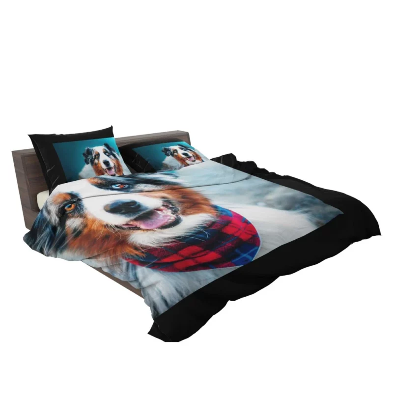 Australian Shepherd Wholesome Essence Bedding Set 2