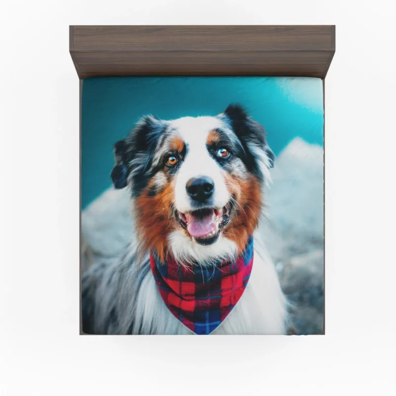 Australian Shepherd Wholesome Essence Fitted Sheet 1