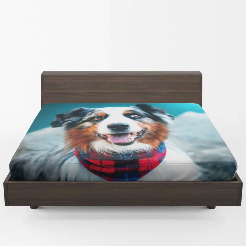 Australian Shepherd Wholesome Essence Fitted Sheet