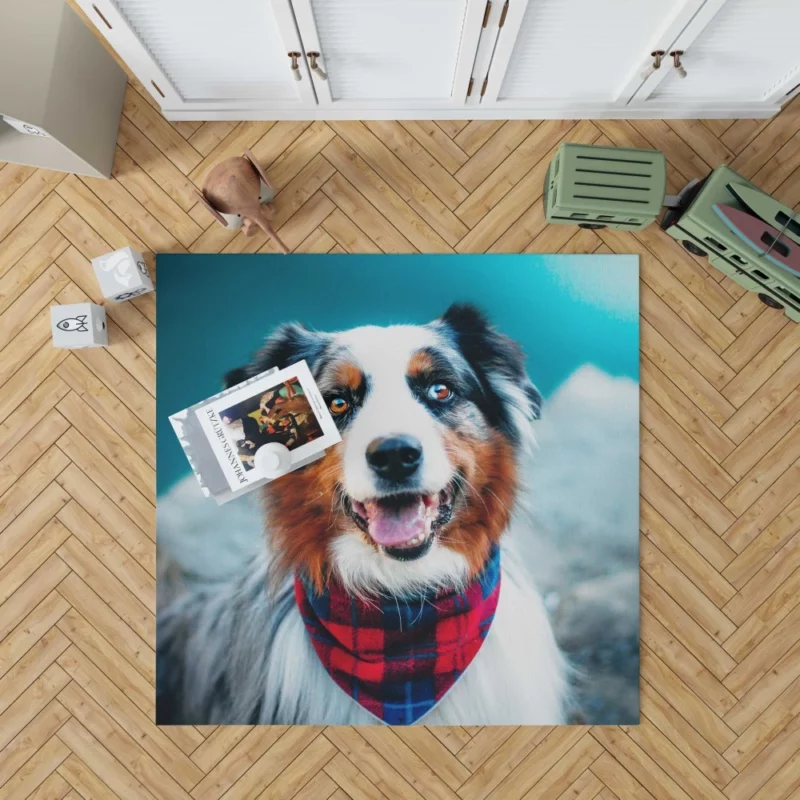 Australian Shepherd Wholesome Essence Rug