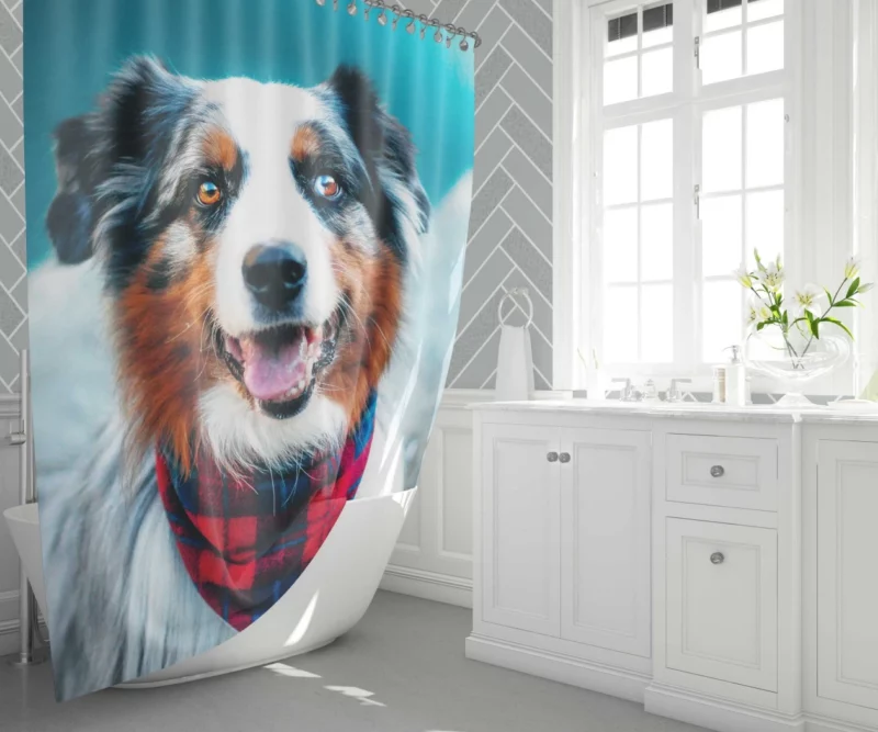 Australian Shepherd Wholesome Essence Shower Curtain 1