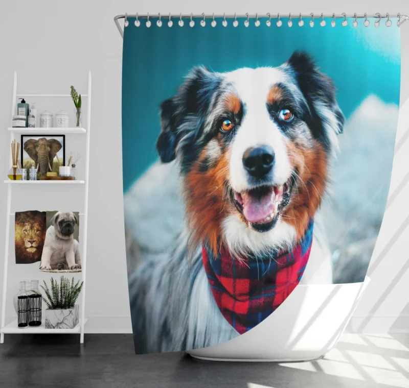 Australian Shepherd Wholesome Essence Shower Curtain