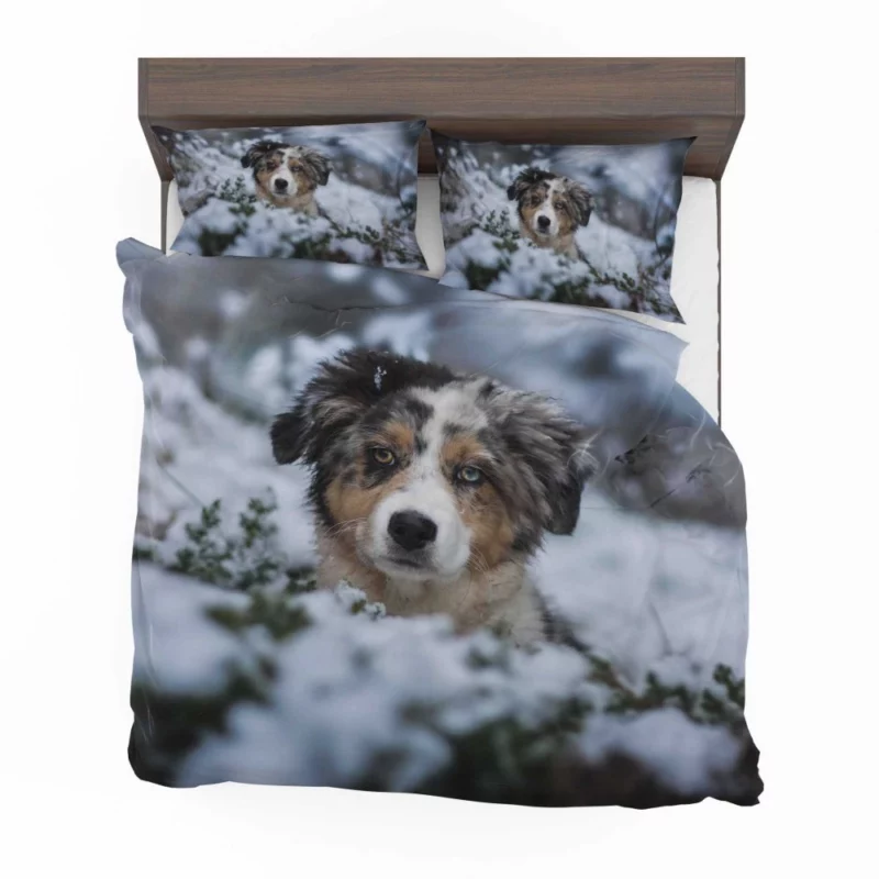 Australian Shepherd Winter Playfulness Bedding Set 1