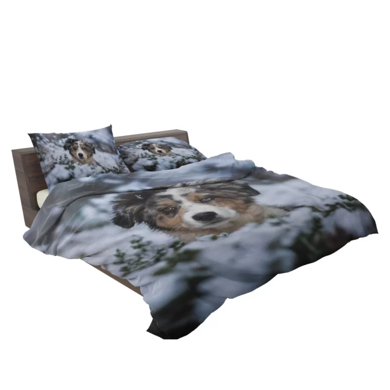 Australian Shepherd Winter Playfulness Bedding Set 2