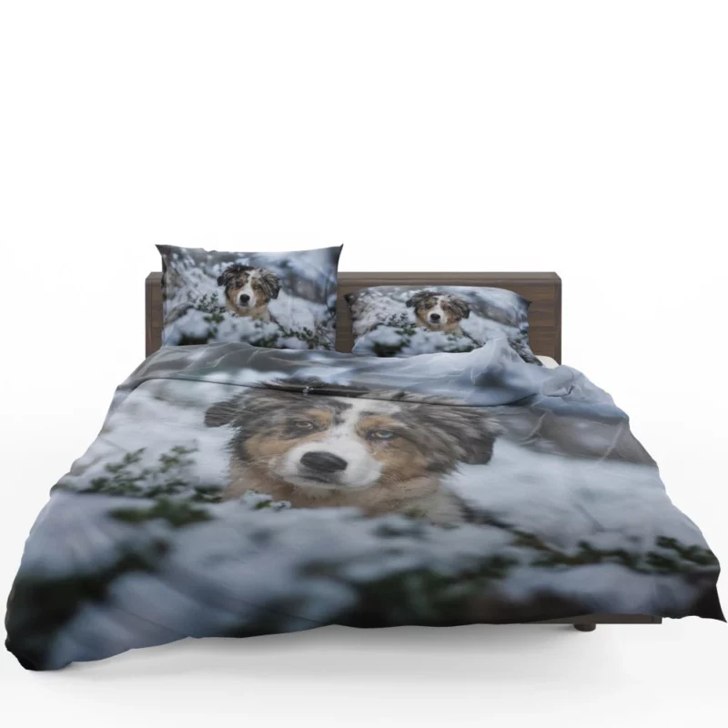 Australian Shepherd Winter Playfulness Bedding Set