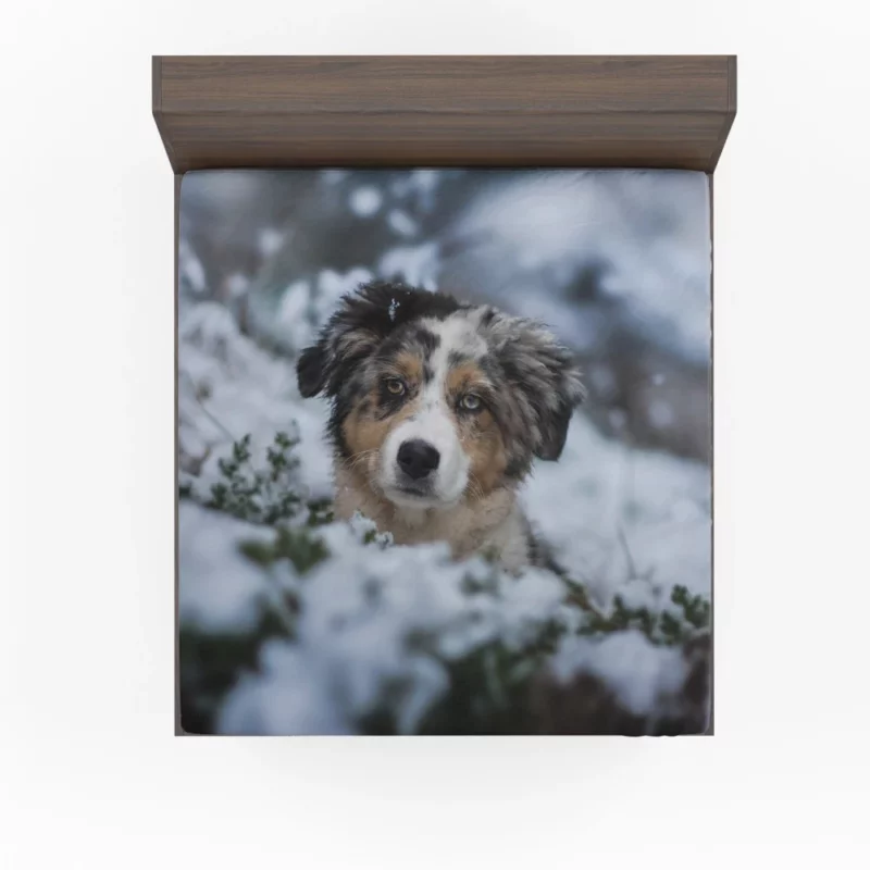 Australian Shepherd Winter Playfulness Fitted Sheet 1