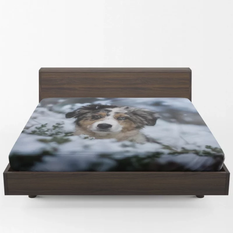 Australian Shepherd Winter Playfulness Fitted Sheet