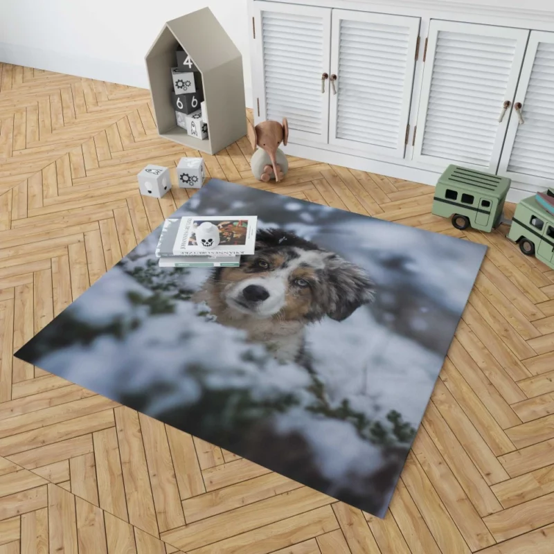 Australian Shepherd Winter Playfulness Rug 1