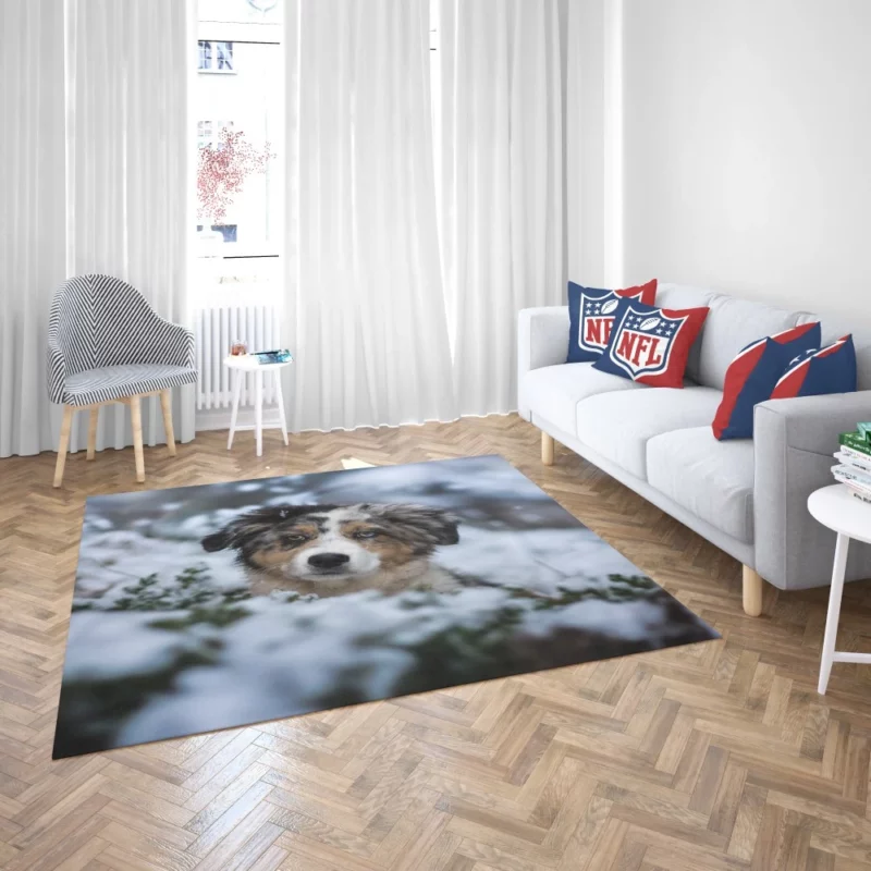 Australian Shepherd Winter Playfulness Rug 2