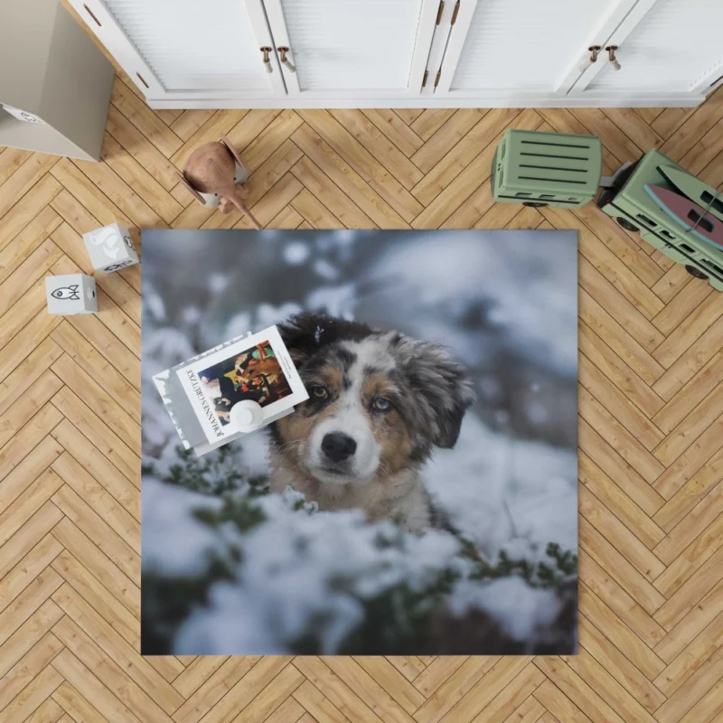 Australian Shepherd Winter Playfulness Rug