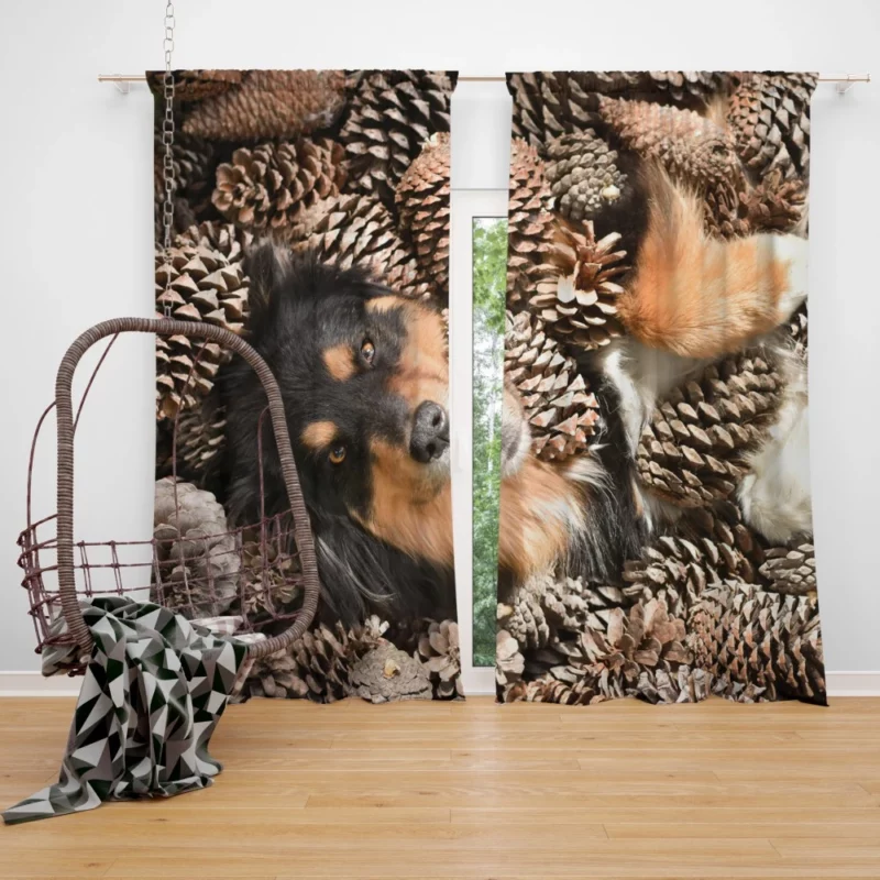 Australian Shepherd by Pine Cone Natural Beauty Curtain