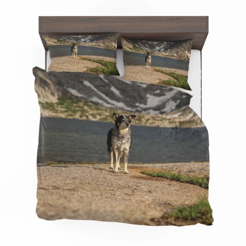 Australian Shepherd by the Lakeside Bedding Set 1