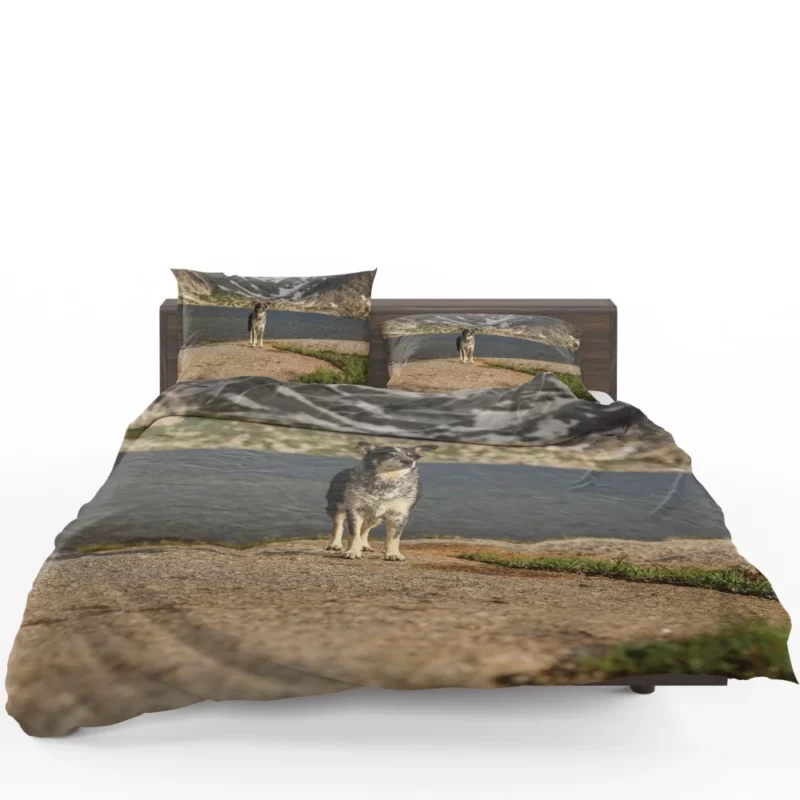 Australian Shepherd by the Lakeside Bedding Set