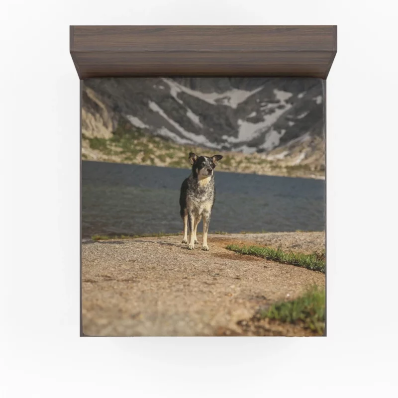 Australian Shepherd by the Lakeside Fitted Sheet 1