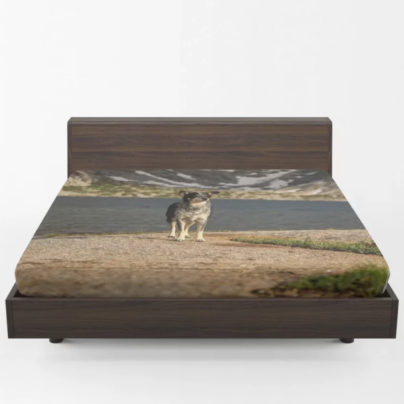 Australian Shepherd by the Lakeside Fitted Sheet