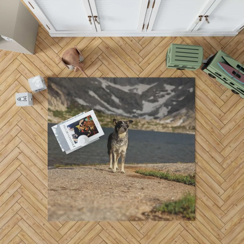 Australian Shepherd by the Lakeside Rug