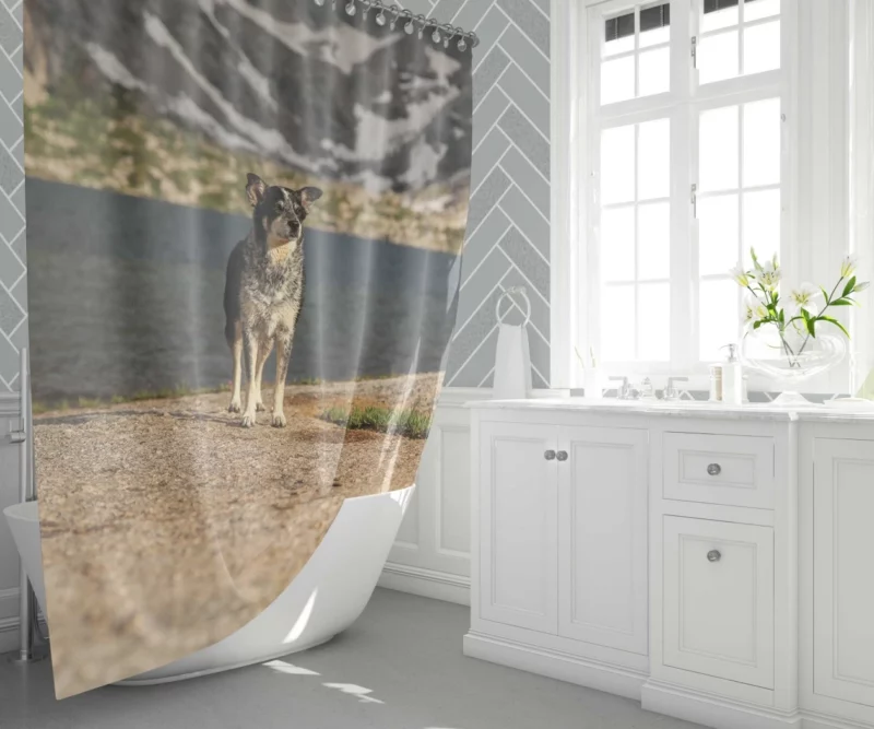 Australian Shepherd by the Lakeside Shower Curtain 1