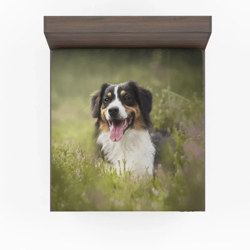 Australian Shepherd in Nature Blur Fitted Sheet 1