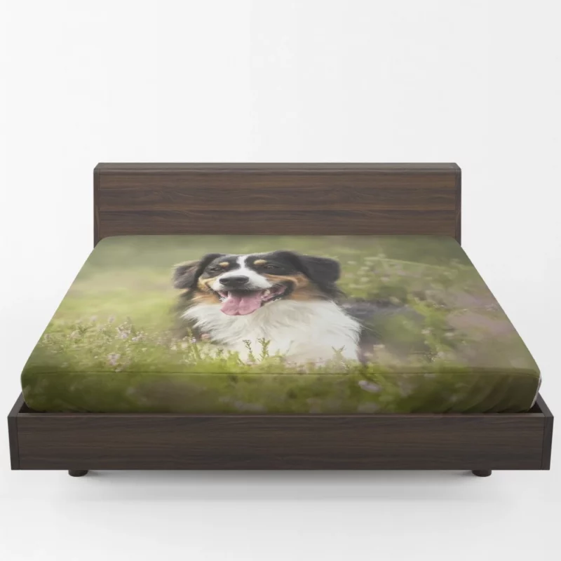 Australian Shepherd in Nature Blur Fitted Sheet