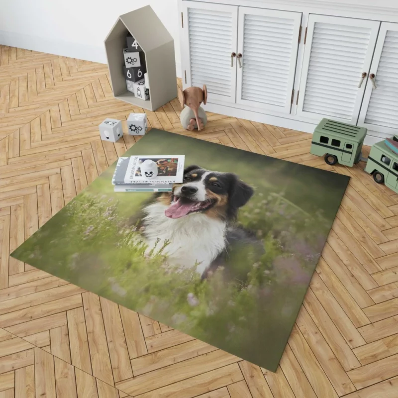 Australian Shepherd in Nature Blur Rug 1