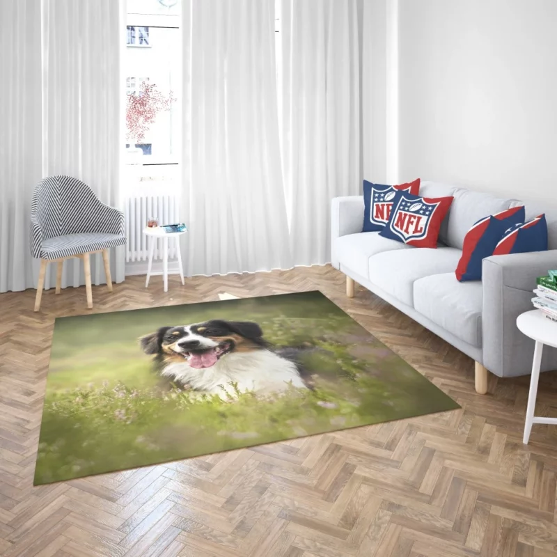 Australian Shepherd in Nature Blur Rug 2