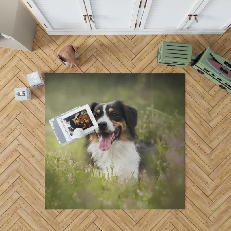 Australian Shepherd in Nature Blur Rug