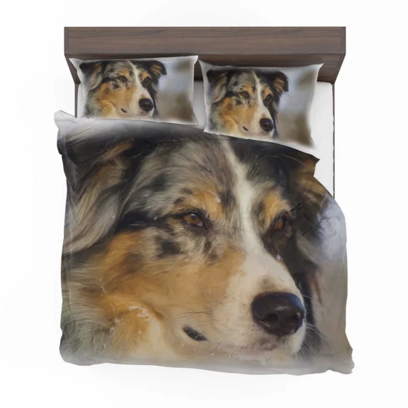 Australian Shepherd in Oil Furry Artistry Bedding Set 1