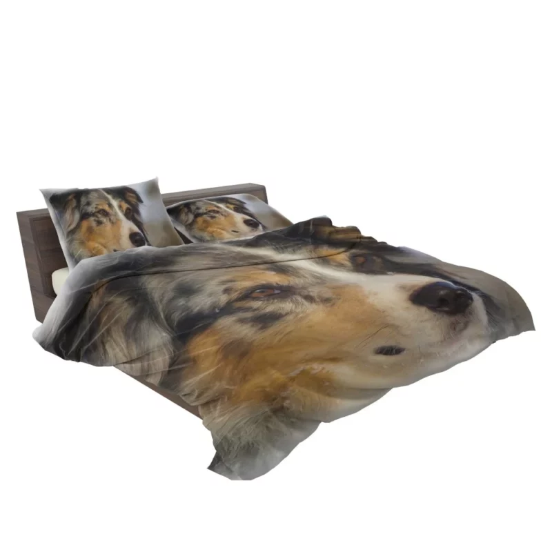 Australian Shepherd in Oil Furry Artistry Bedding Set 2