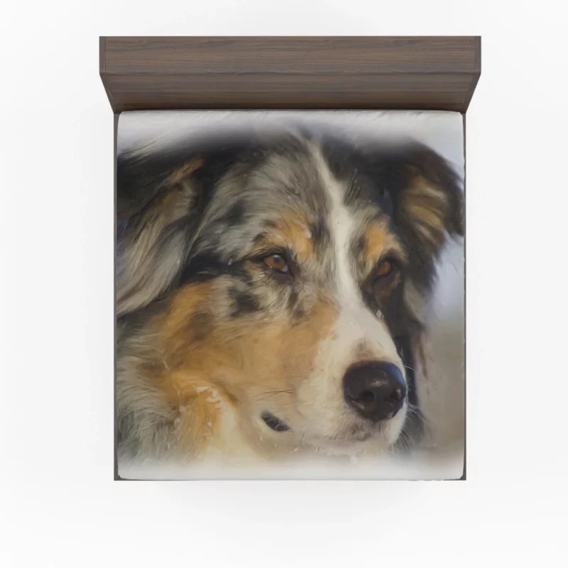 Australian Shepherd in Oil Furry Artistry Fitted Sheet 1