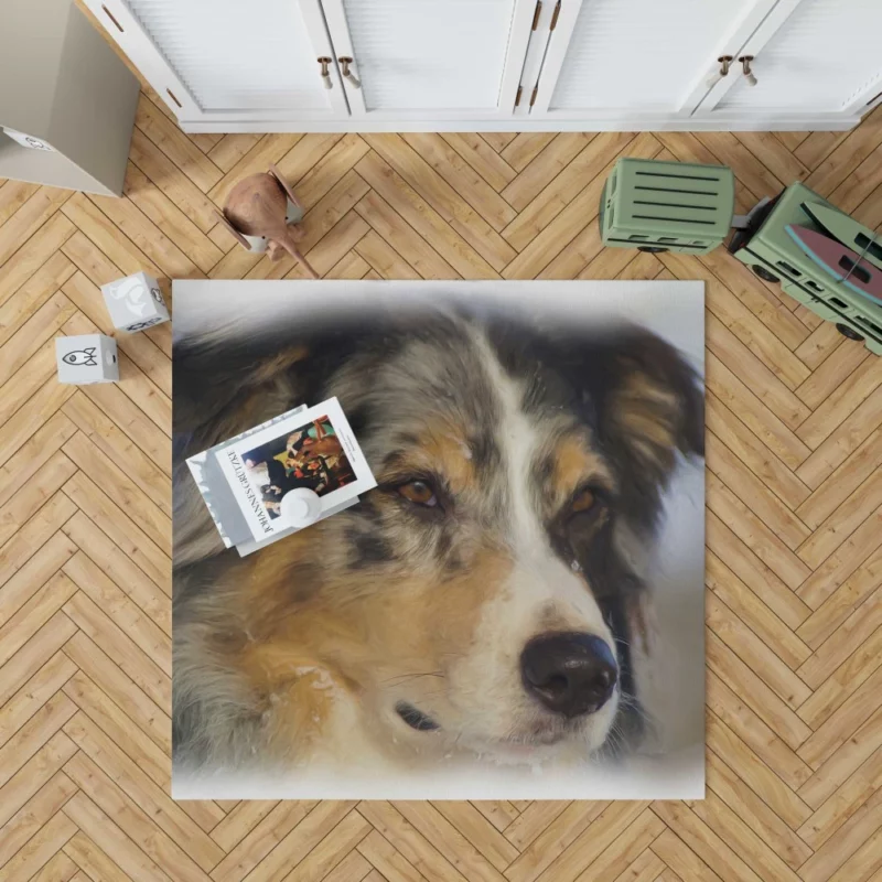 Australian Shepherd in Oil Furry Artistry Rug